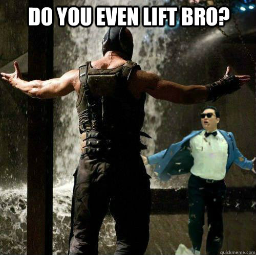 Do You Even Lift Bro? - Do You Even Lift Bro?  Misc