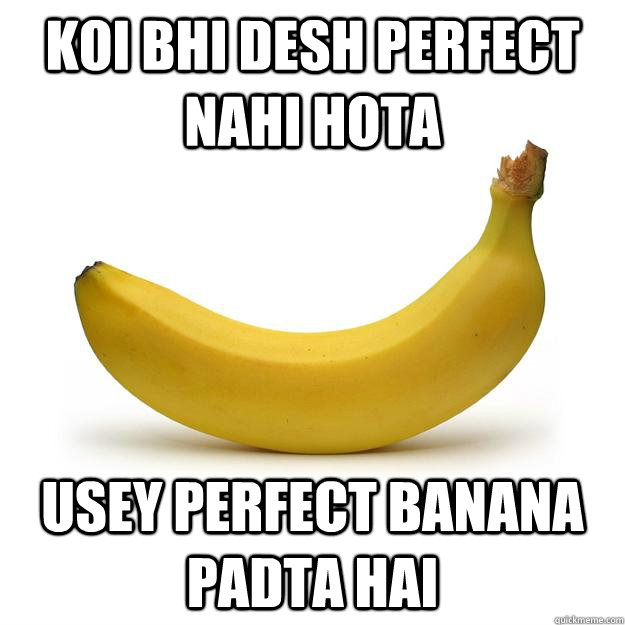 koi bhi desh perfect nahi hota usey perfect banana padta hai  Banana