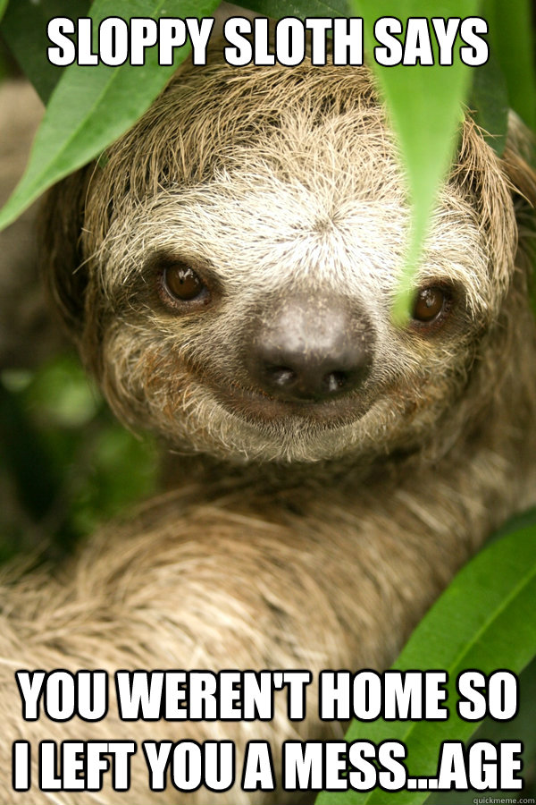 sloppy sloth says you weren't home so i left you a mess...age - sloppy sloth says you weren't home so i left you a mess...age  Sloppy Sloth