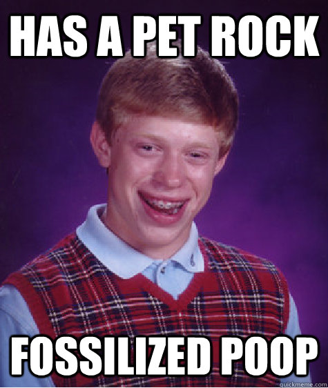 Has a Pet rock fossilized poop  Bad Luck Brian
