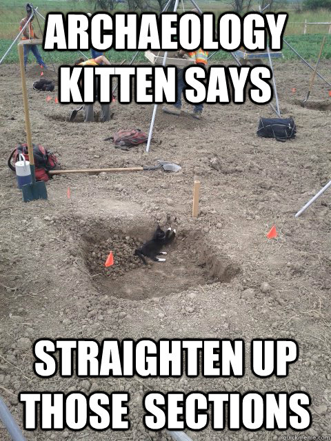 Archaeology Kitten says Straighten up those  sections  Archaeology Kitten