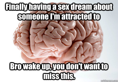 Finally having a sex dream about someone I'm attracted to Bro wake up, you don't want to miss this.  - Finally having a sex dream about someone I'm attracted to Bro wake up, you don't want to miss this.   Scumbag Brain