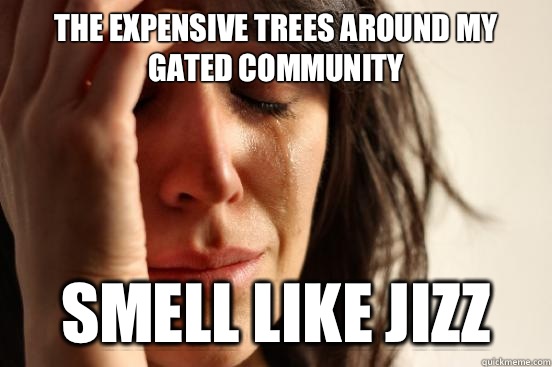 The expensive trees around my gated community Smell like jizz  First World Problems