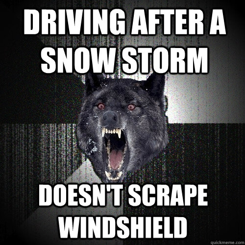 Driving after a snow storm doesn't scrape windshield  Insanity Wolf
