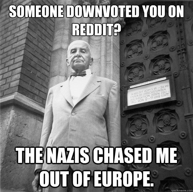 someone downvoted you on reddit? the nazis chased me out of europe.  