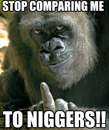 Stop comparing me to niggers!! - Stop comparing me to niggers!!  Flipping Gorilla