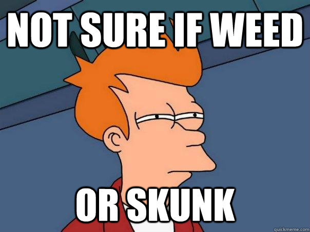 Not sure if weed or skunk - Not sure if weed or skunk  Futurama Fry