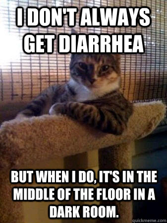 I don't always get diarrhea But when I do, it's in the middle of the floor in a dark room.  The Most Interesting Cat in the World