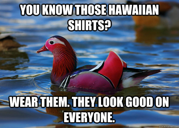 you know those hawaiian shirts? wear them. they look good on everyone.  Malicious Fashion Advice Mallard