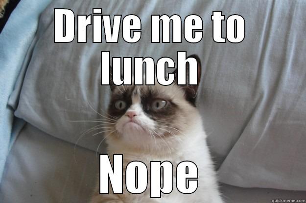 Drive me to lunch - DRIVE ME TO LUNCH NOPE Grumpy Cat