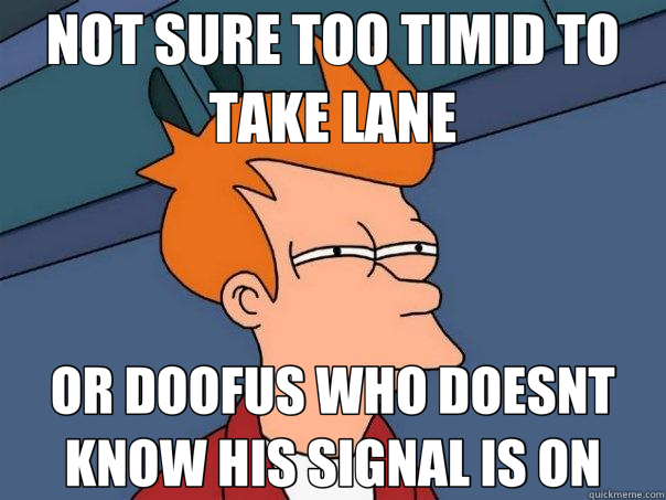 NOT SURE TOO TIMID TO TAKE LANE OR DOOFUS WHO DOESNT KNOW HIS SIGNAL IS ON  Futurama Fry