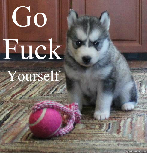 Go Fuck Yourself - Go Fuck Yourself  Angry Puppy