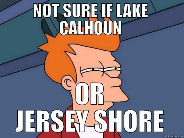 NOT SURE IF LAKE CALHOUN OR JERSEY SHORE Futurama Fry