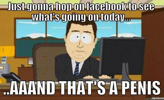 JUST GONNA HOP ON FACEBOOK TO SEE WHAT'S GOING ON TODAY...   ..AAAND THAT'S A PENIS aaaand its gone