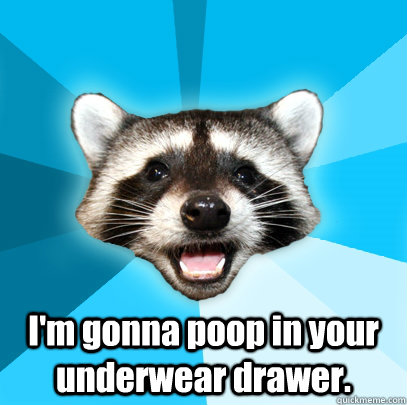  I'm gonna poop in your underwear drawer.  Lame Pun Coon