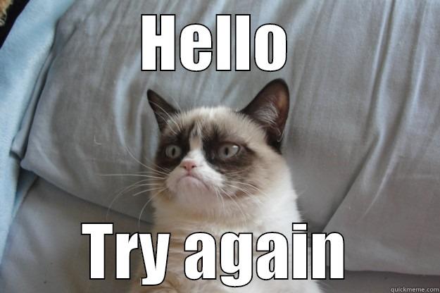 HELLO TRY AGAIN Grumpy Cat