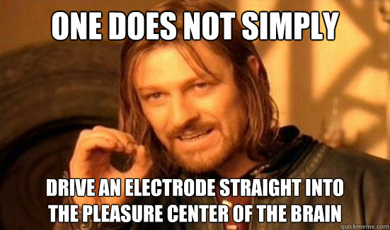 One Does Not Simply drive an electrode straight into 
the pleasure center of the brain - One Does Not Simply drive an electrode straight into 
the pleasure center of the brain  Boromir