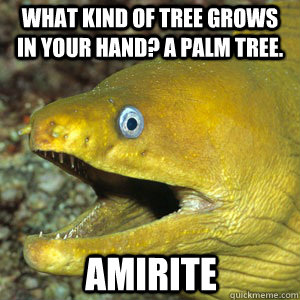 WHAT KIND OF TREE GROWS IN YOUR HAND? A PALM TREE. AMIRITE - WHAT KIND OF TREE GROWS IN YOUR HAND? A PALM TREE. AMIRITE  Amirite Eel