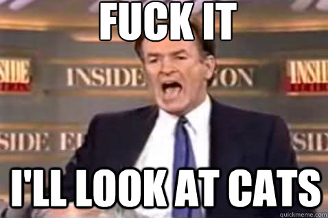 fuck it i'll look at cats  Fuck It Bill OReilly