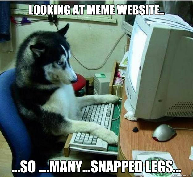 Looking at meme website.. ...so ....many...snapped legs... - Looking at meme website.. ...so ....many...snapped legs...  Disapproving Dog