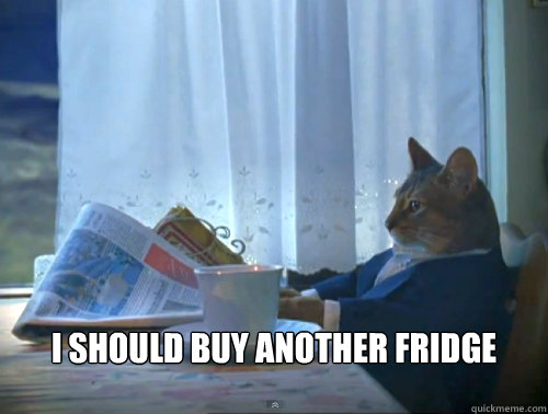  I should buy another fridge  The One Percent Cat