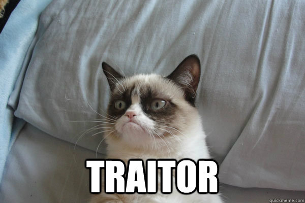  traitor  