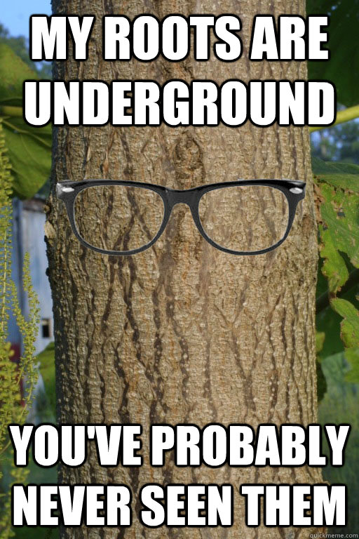 My roots are underground You've probably never seen them  Hipster Tree