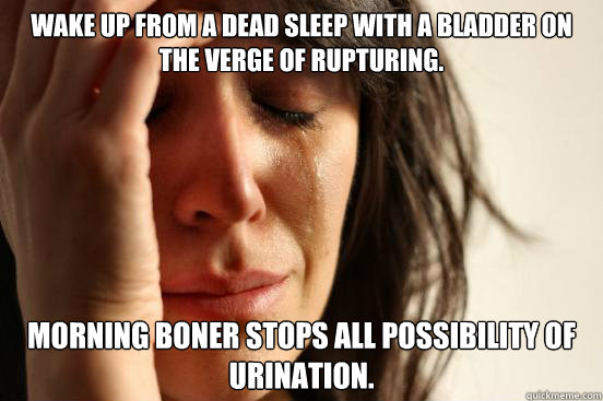 Wake up from a dead sleep with a bladder on the verge of rupturing. Morning boner stops all possibility of urination.  First World Problems