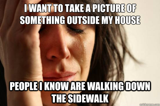 I want to take a picture of something outside my house People I know are walking down the sidewalk  First World Problems