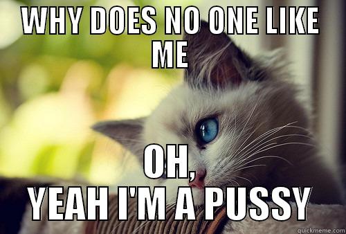 WHY DOES NO ONE LIKE ME OH, YEAH I'M A PUSSY First World Problems Cat