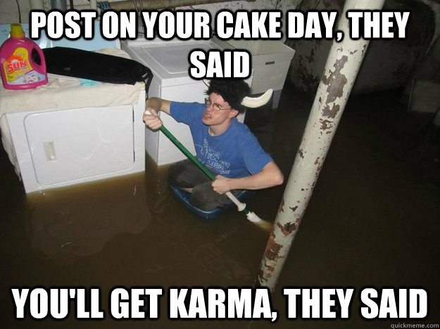 Post on your cake day, they said you'll get karma, they said  Laundry Room Viking