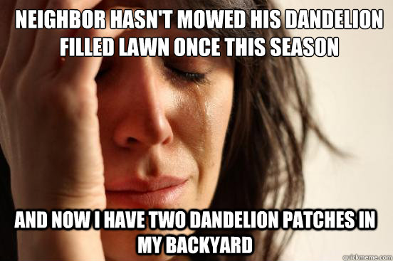 neighbor hasn't mowed his dandelion filled lawn once this season and now i have two dandelion patches in my backyard  First World Problems