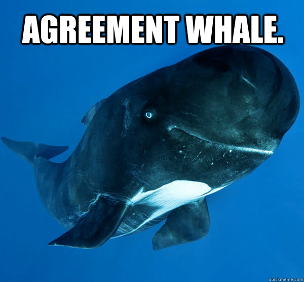 agreement whale.  