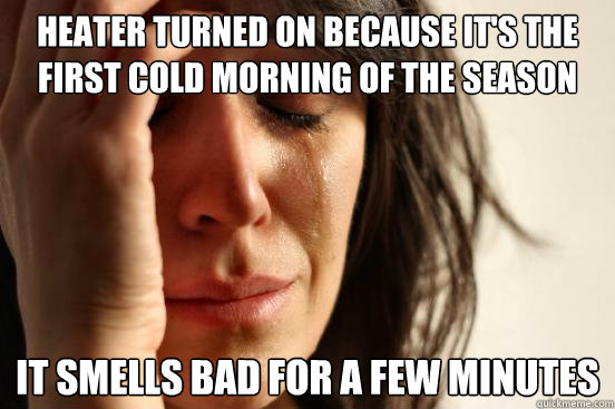 Heater turned on because it's the first cold morning of the season it smells bad for a few minutes  First World Problems