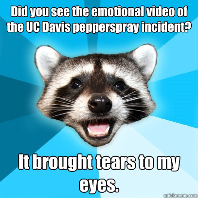 Did you see the emotional video of the UC Davis pepperspray incident? It brought tears to my eyes.  Lame Pun Coon