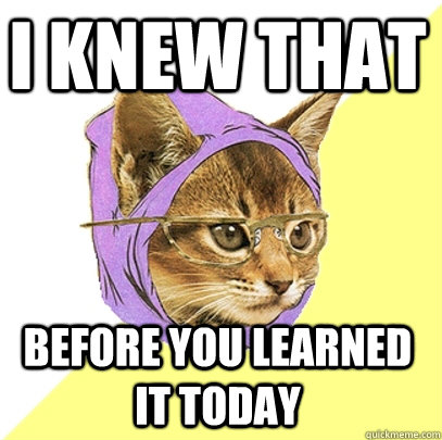 i knew that BEFORE YOU LEARNED it TODAY   Hipster Kitty