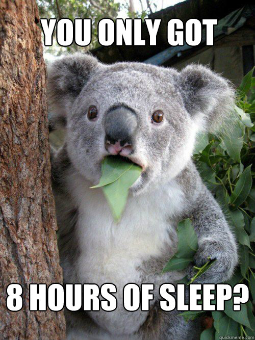 You only got 8 hours of sleep?  Shocked Koala