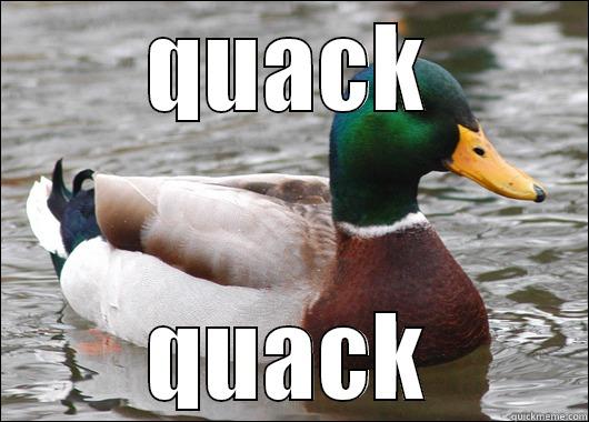QUACK QUACK Actual Advice Mallard