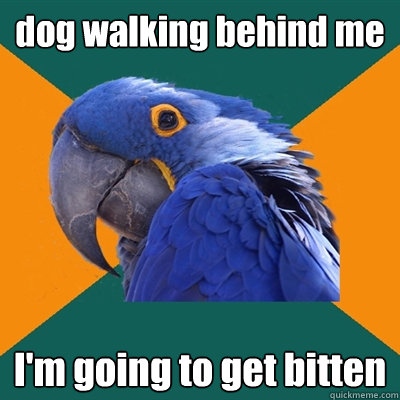 dog walking behind me I'm going to get bitten   Paranoid Parrot