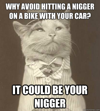 why avoid hitting a nigger on a bike with your car? it could be your nigger  Aristocat