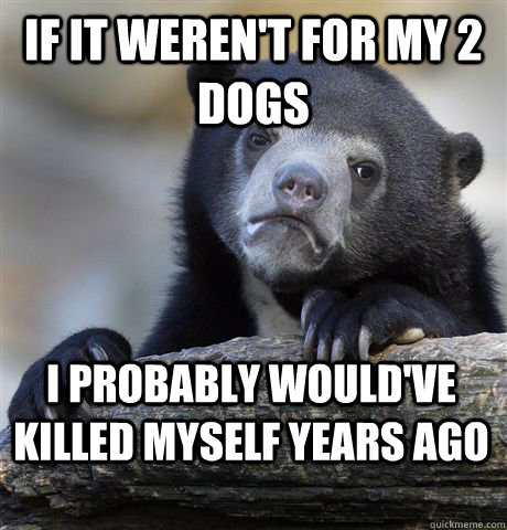 If it weren't for my 2 dogs I probably would've killed myself years ago  Confession Bear