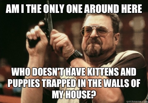 Am I the only one around here Who doesn't have kittens and puppies trapped in the walls of my house? - Am I the only one around here Who doesn't have kittens and puppies trapped in the walls of my house?  Am I the only one