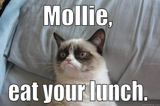 MOLLIE, EAT YOUR LUNCH. Grumpy Cat