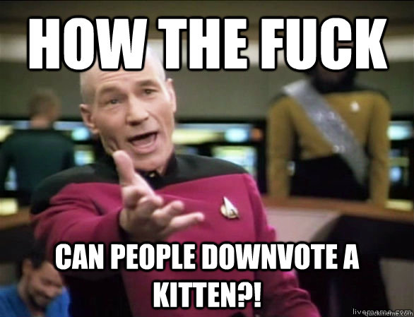 how the fuck can people downvote a kitten?!  Annoyed Picard HD