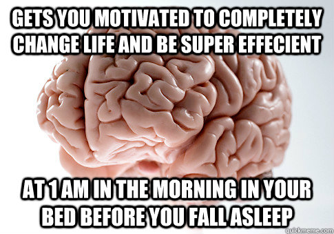 GETS YOU MOTIVATED TO COMPLETELY CHANGE LIFE AND BE SUPER EFFECIENT AT 1 AM IN THE MORNING IN YOUR BED BEFORE YOU FALL ASLEEP  Scumbag Brain