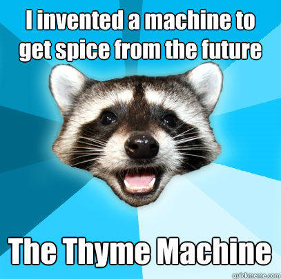 I invented a machine to get spice from the future The Thyme Machine  Lame Pun Coon