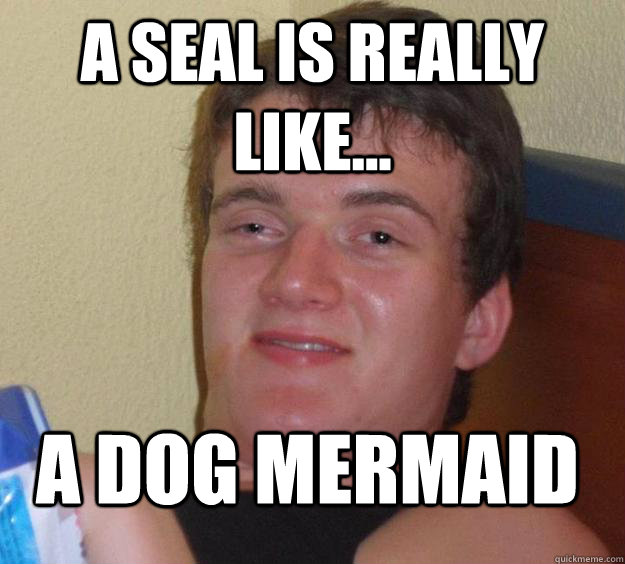 a seal is really like... a dog mermaid  10 Guy
