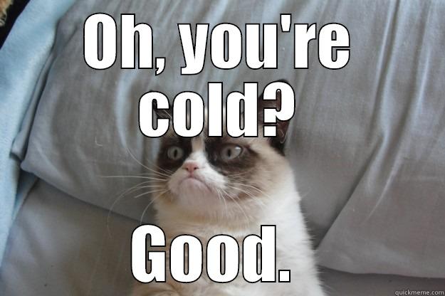 OH, YOU'RE COLD? GOOD.  Grumpy Cat