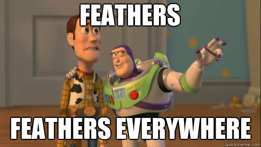 feathers feathers everywhere  Everywhere
