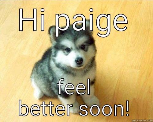 HI PAIGE FEEL BETTER SOON! Baby Courage Wolf